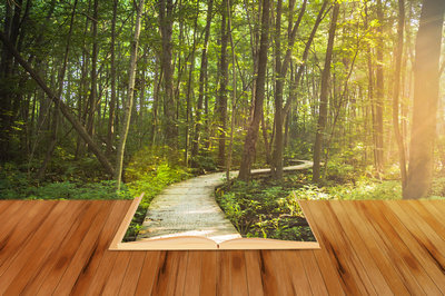 北京大學在職研究生 北京大學在職研究生