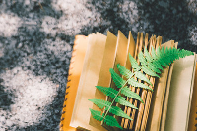 北京大學在職研究生 北京大學在職研究生