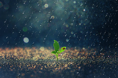 北京大學(xué)在職研究生