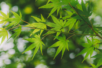 在職研究生優勢 在職研究生優勢