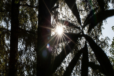北京大學在職研究生 北京大學在職研究生