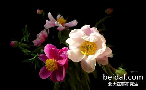 北京大學在職研究生能拿到畢業證嗎