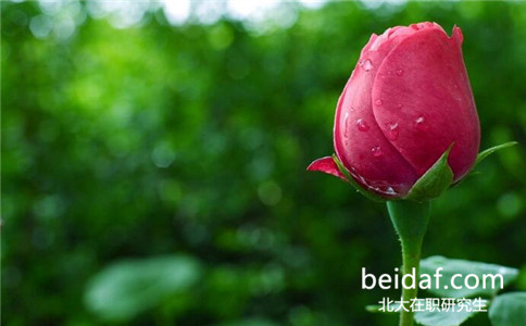 2017年北京大學同等學力申碩報名流程是怎樣的