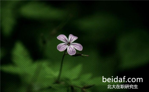 2017年北京大學在職研究生熱門招生專業有哪些